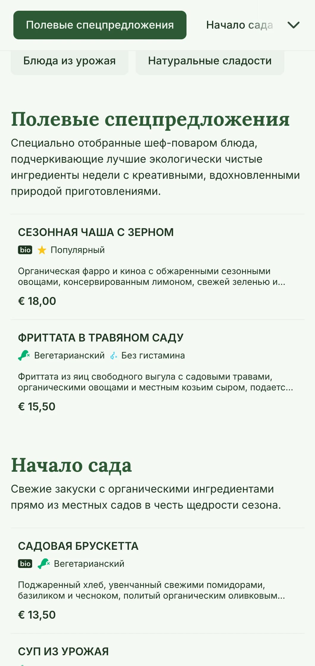 Свежий, вдохновленный природой дизайн обеденного меню, подчеркивающий сезонные ингредиенты и фермерские предложения, идеально подходит для кафе и ресторанов с акцентом на здоровое, органическое питание в полдень.