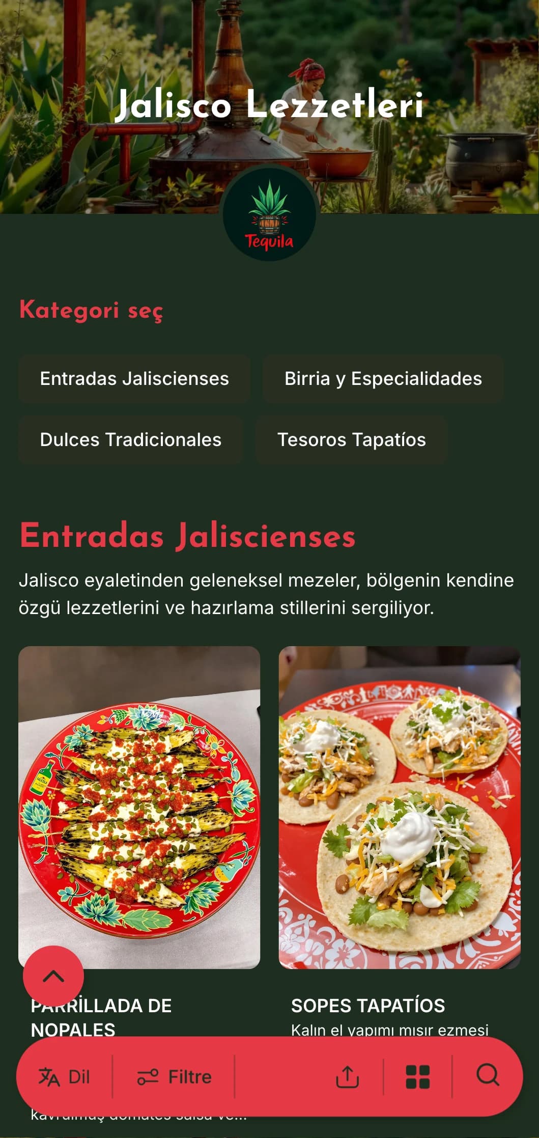 Tekila, birria ve geleneksel mariachi esintili yemekler gibi Jalisco spesiyalitelerini içeren canlı ve lezzetli menü.