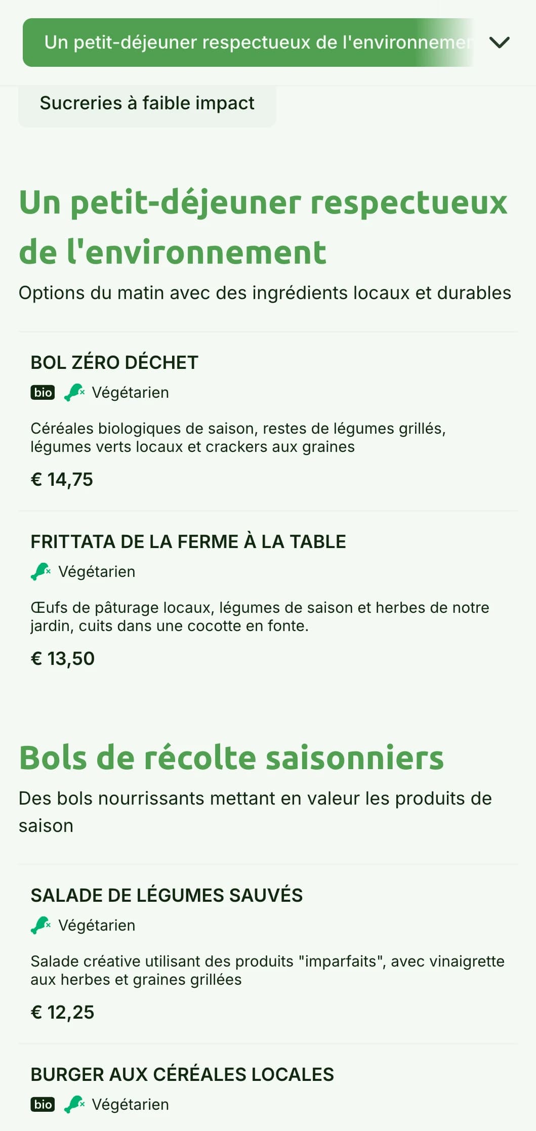 Design vert inspiré de la nature avec des éléments respectueux de l'environnement pour les cafés durables.