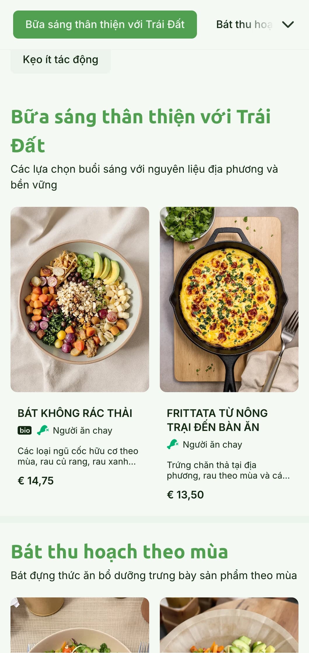 Thiết kế xanh lấy cảm hứng từ thiên nhiên với các yếu tố thân thiện với môi trường dành cho quán cà phê bền vững.