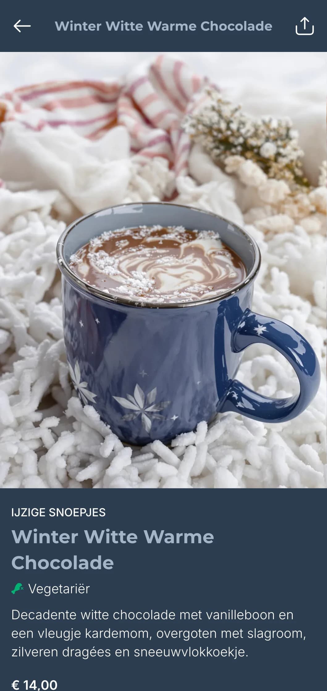 Koel, op de winter geïnspireerd brunchsjabloon met ijzige blauwe tinten, geschikt voor seizoensmenu's en gezellige wintercafés.