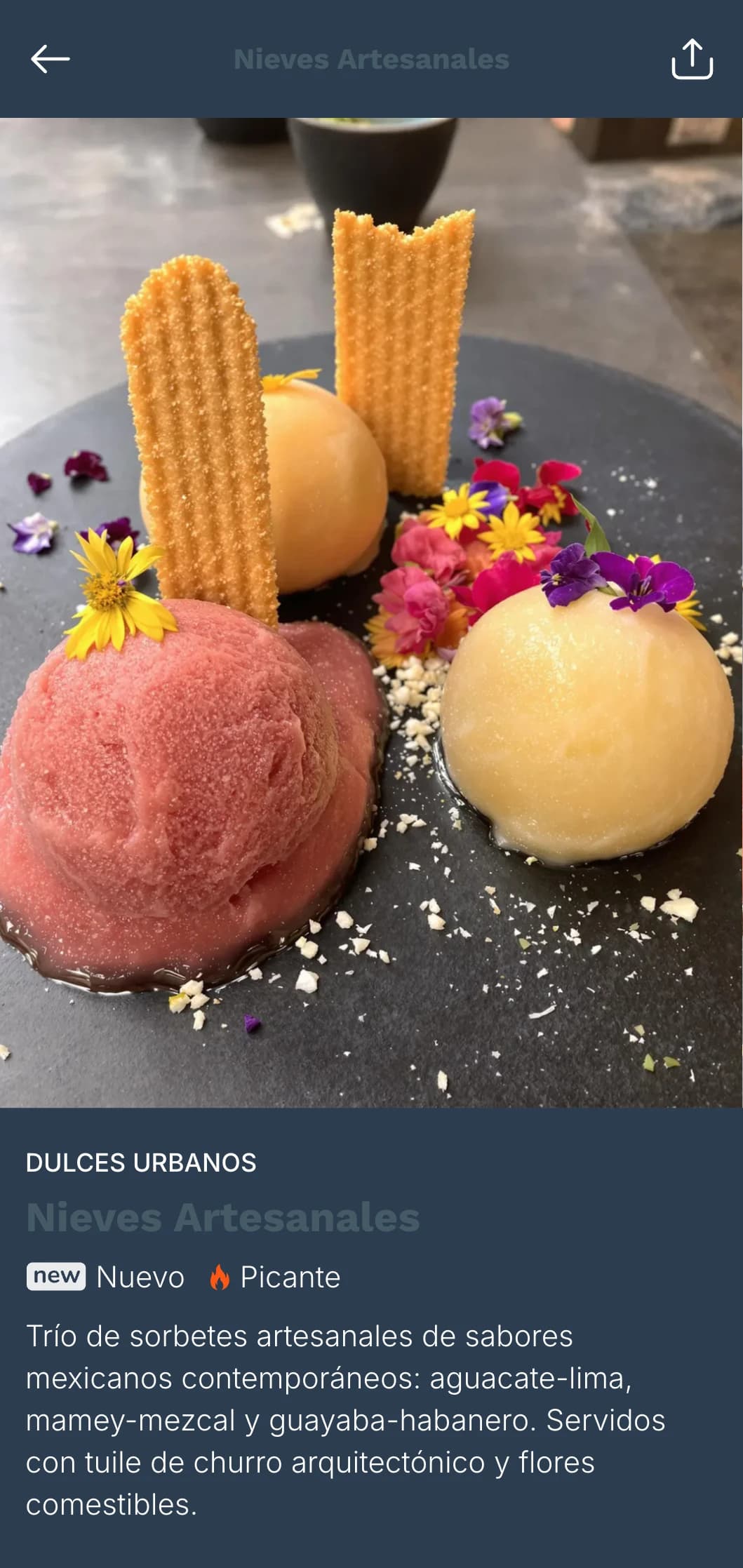 Menú sofisticado y urbano inspirado en la plaza principal de Ciudad de México, con tonos grises y azules fríos, platos cosmopolitas e influencias de la ciudad.